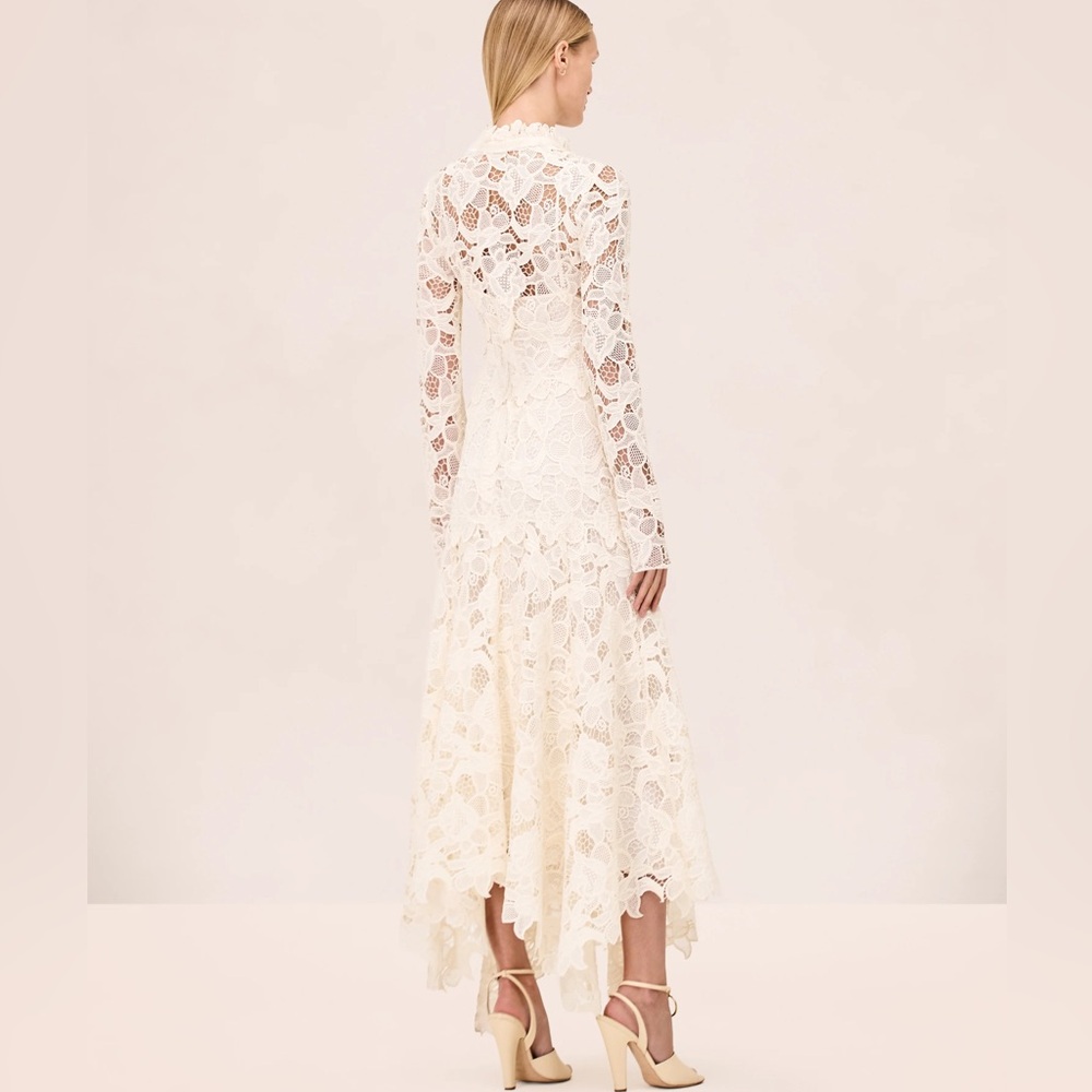 Alexis Cream Long Sleeve Lace Maxi Dress - Picture 3 of 6